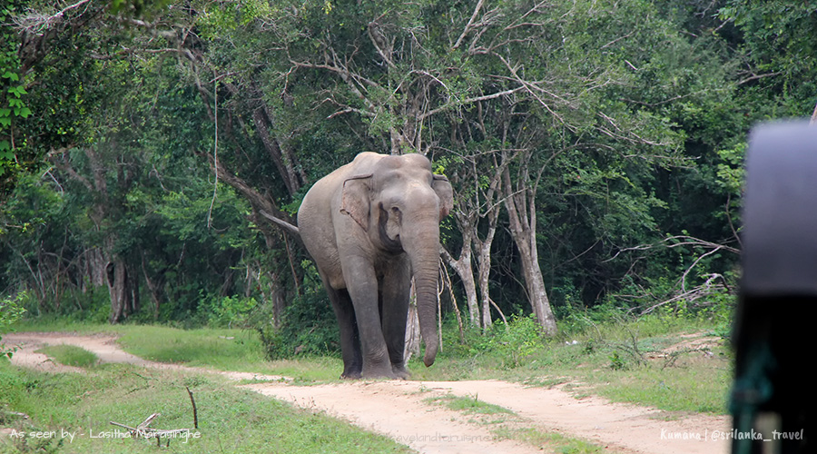 Kumana National Park