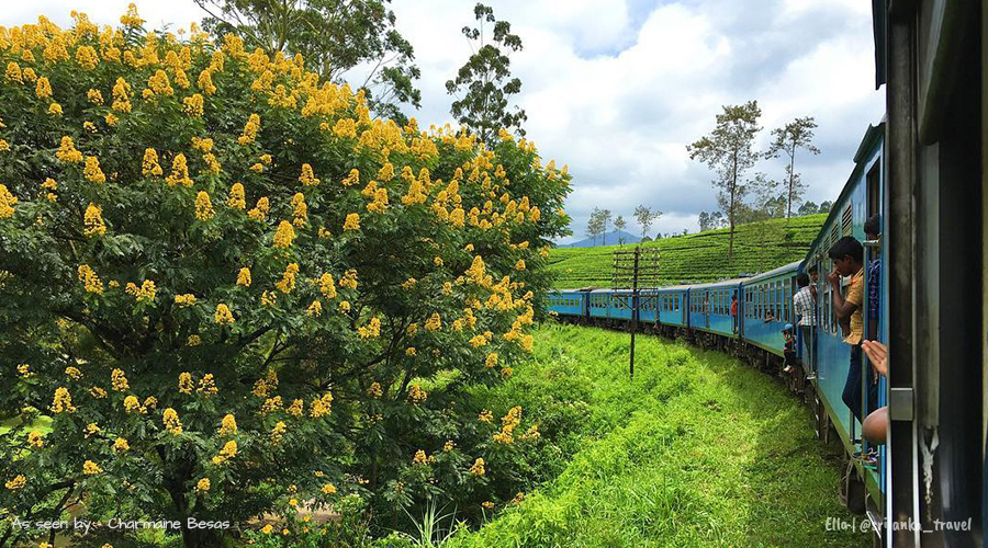 ella-train-sri-lanka