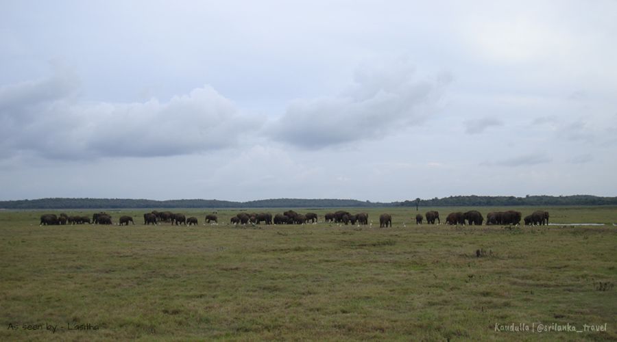 kaudulla national park