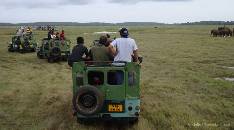 kaudulla safari sri lanka