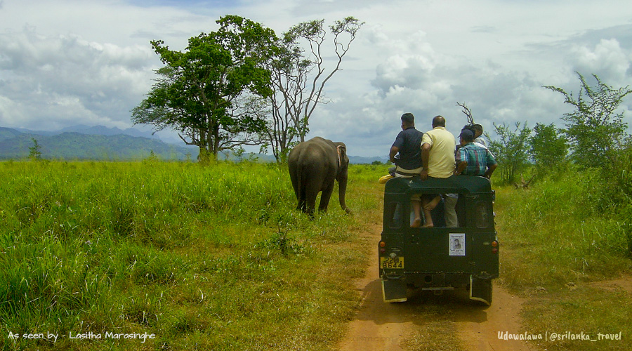 udawalawe-park