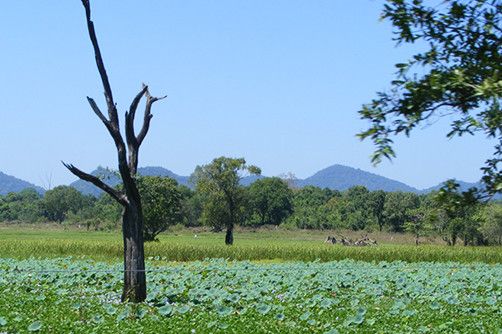 wasgamuwa Climate