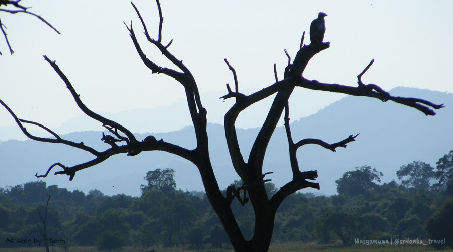 wasgamuwa sri lanka