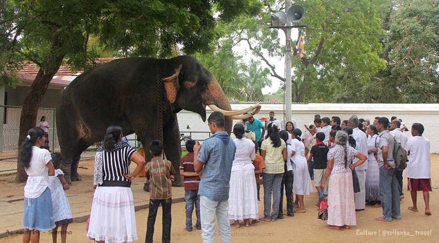 Events in Sri Lanka