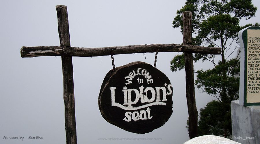 Lipton's Seat