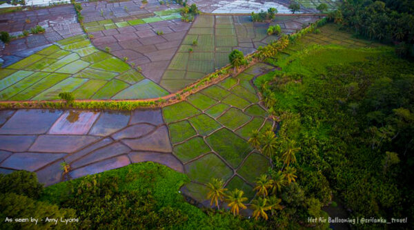 ballooning-sri-lanka