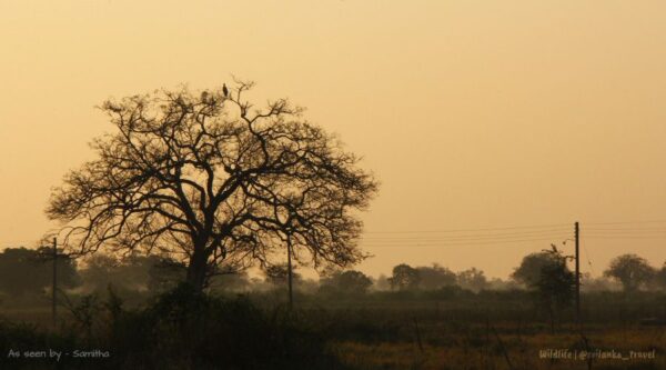 best national park in sri lanka