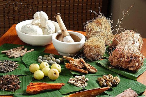 culture-of-sri-lanka-ayurveda-medicine