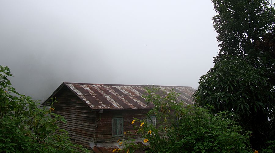 haputale-mist-sri-lanka