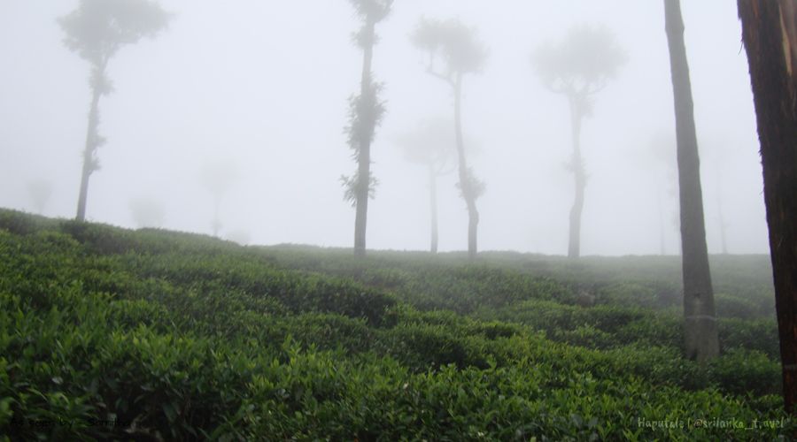 haputale-weather-sri-lanka