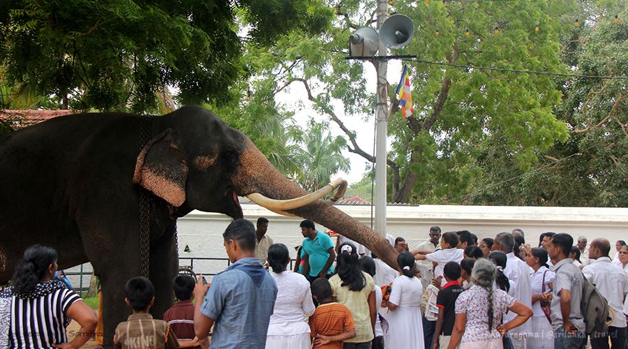 kataragama Festivals