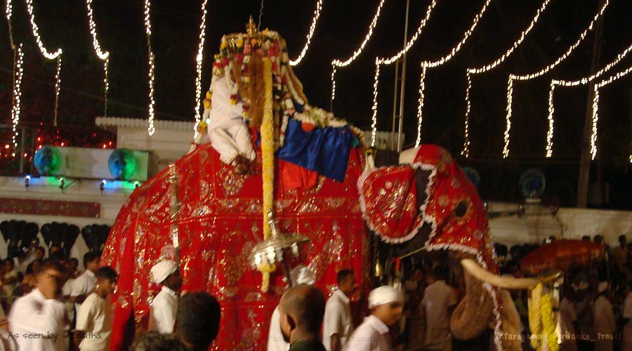 kataragama-elephants-sri-lanka