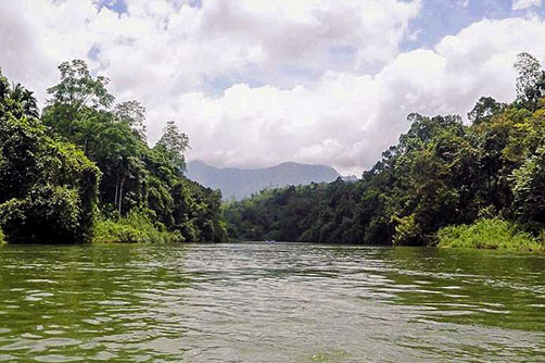 kitulgala-nature