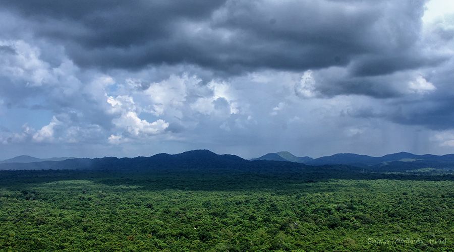 lion rock sigiriya Sri Lanka