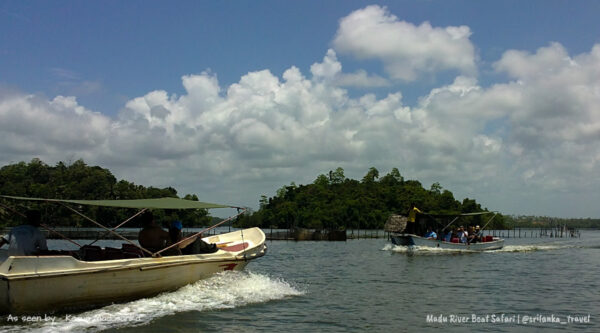 madu-river-safari