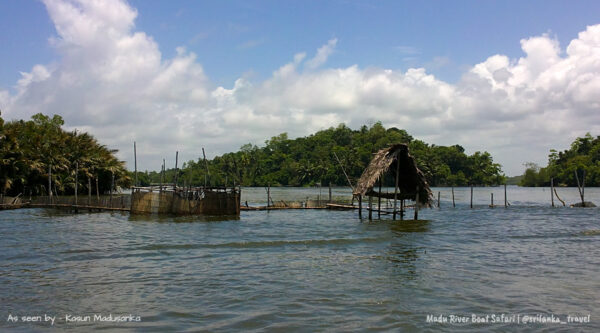 madu-river-sri-lanka