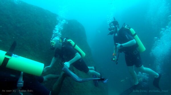 mirissa diving & snorkeling center