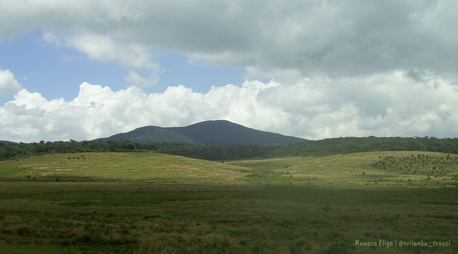 nuwara-eliya-horton-plains