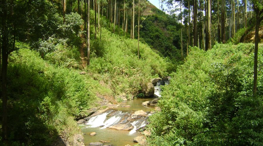 nuwara-eliya-sri-lanka-waterfalls