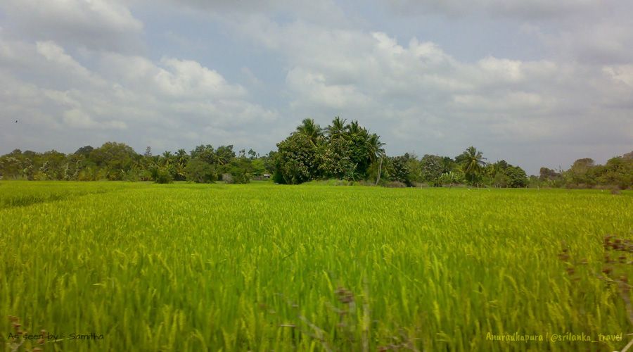 sri-lanka anuradhapura