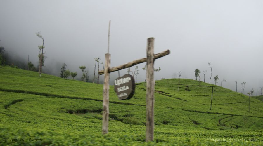 sri-lanka-haputale