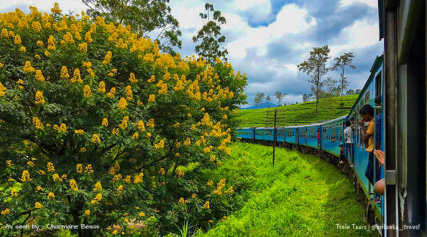 sri-lanka-train