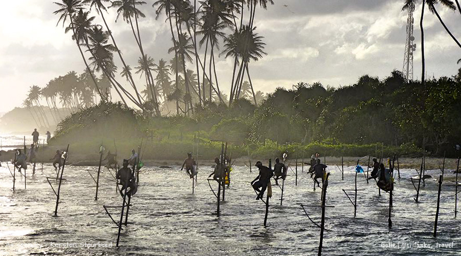 stilt-fishing-galle-sri-lanka