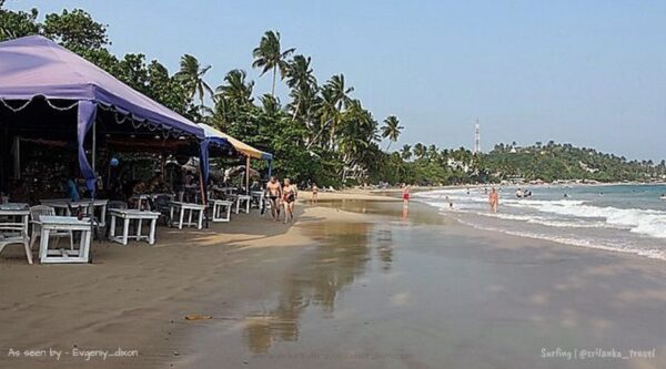 surf camp sri lanka