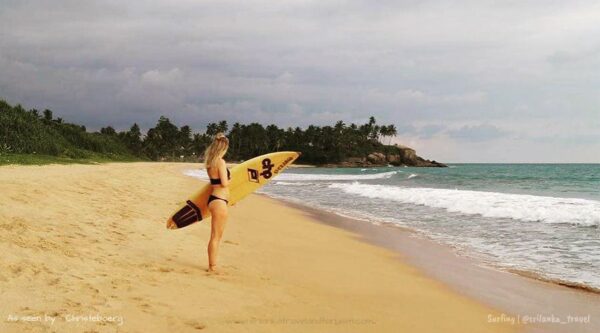 surfing srilanka