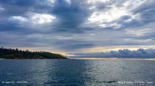 whale-season-in-sri-lanka