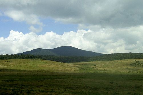 wildlife-horton-plains