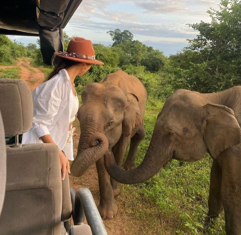 Hurulu ECO Park Ticket Price