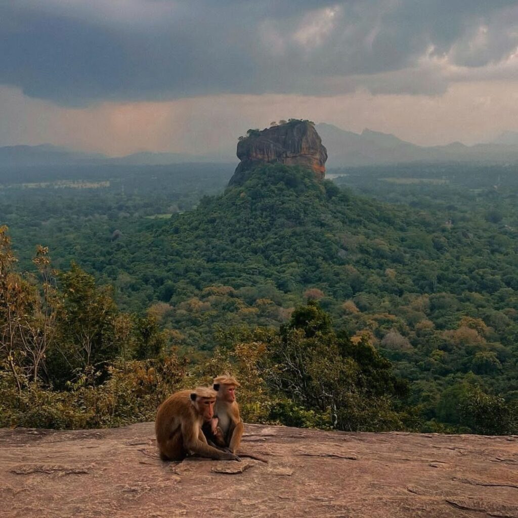 Sigiriya Lions Rock Ticket Price
