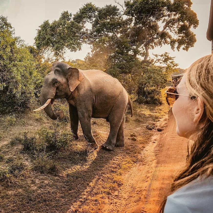 Yala National Park Ticket Price