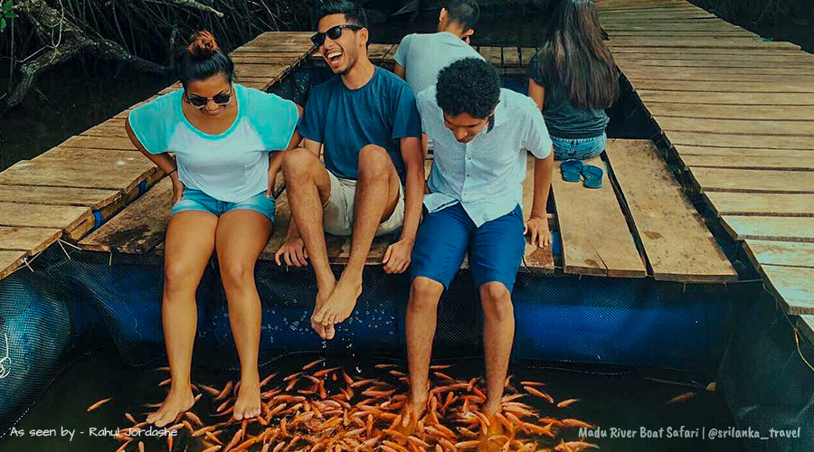 Madu River Boat Safari Ticket Price