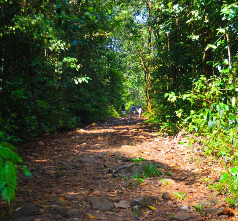 Sinharaja Ticket Price