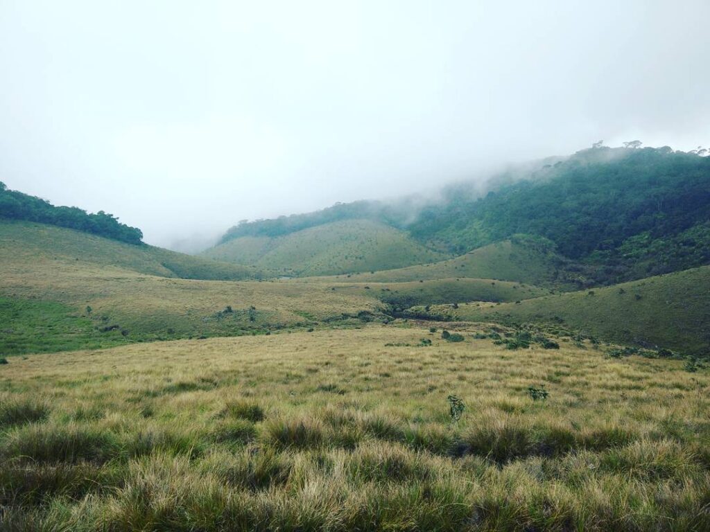 Horton Plains National Park Ticket Price