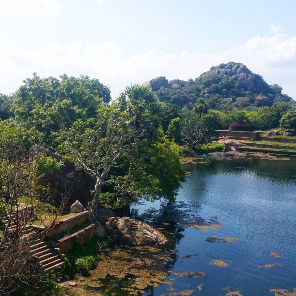 Mihintale Ticket Price